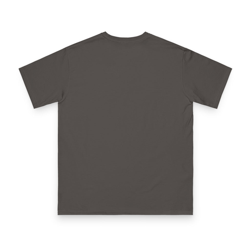 Mt. Hood Sunset Mountain~ T-Shirt moisture wicking