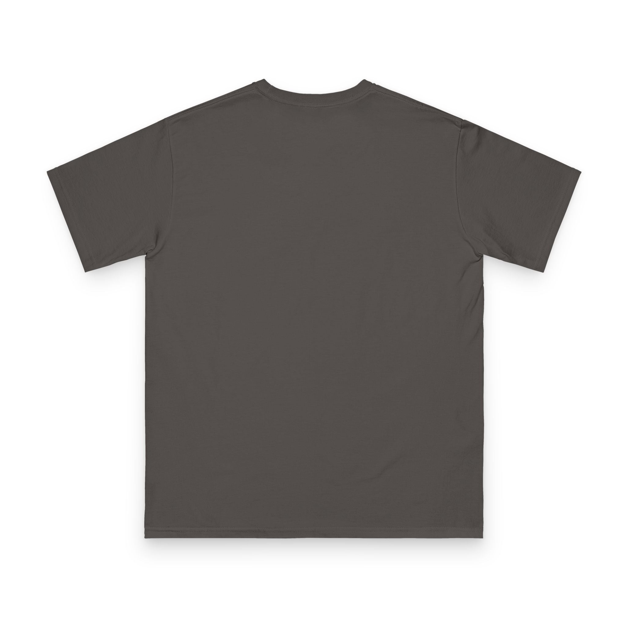Mt. Hood Sunset Mountain~ T-Shirt moisture wicking