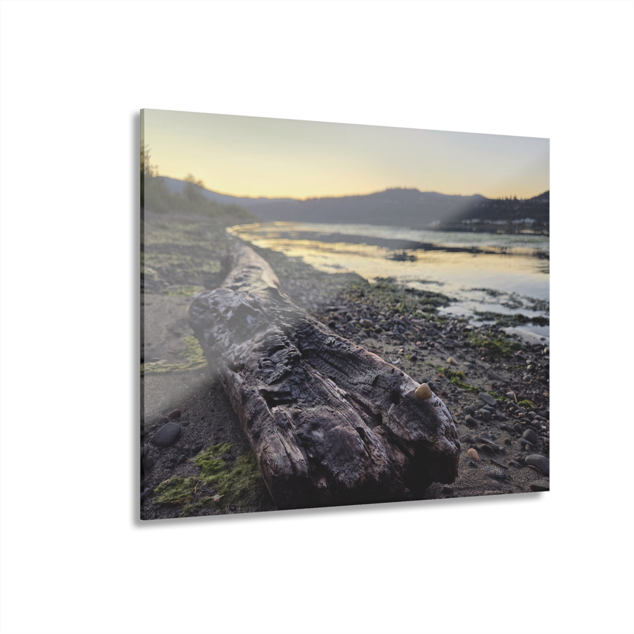 Life on the Columbia River~ Acrylic print