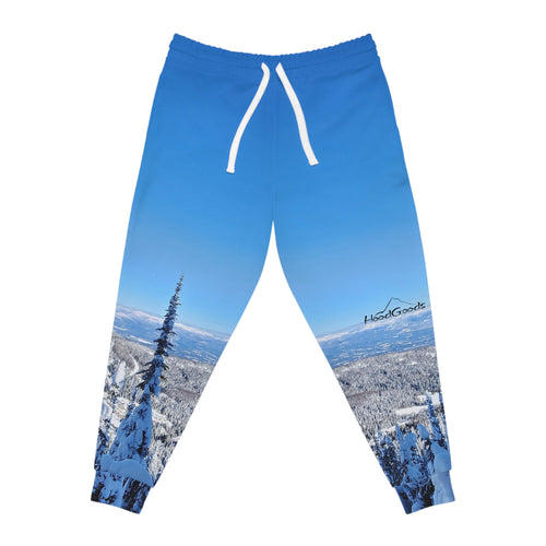 Blue bird in Utah~Joggers Cozy Sweatpants