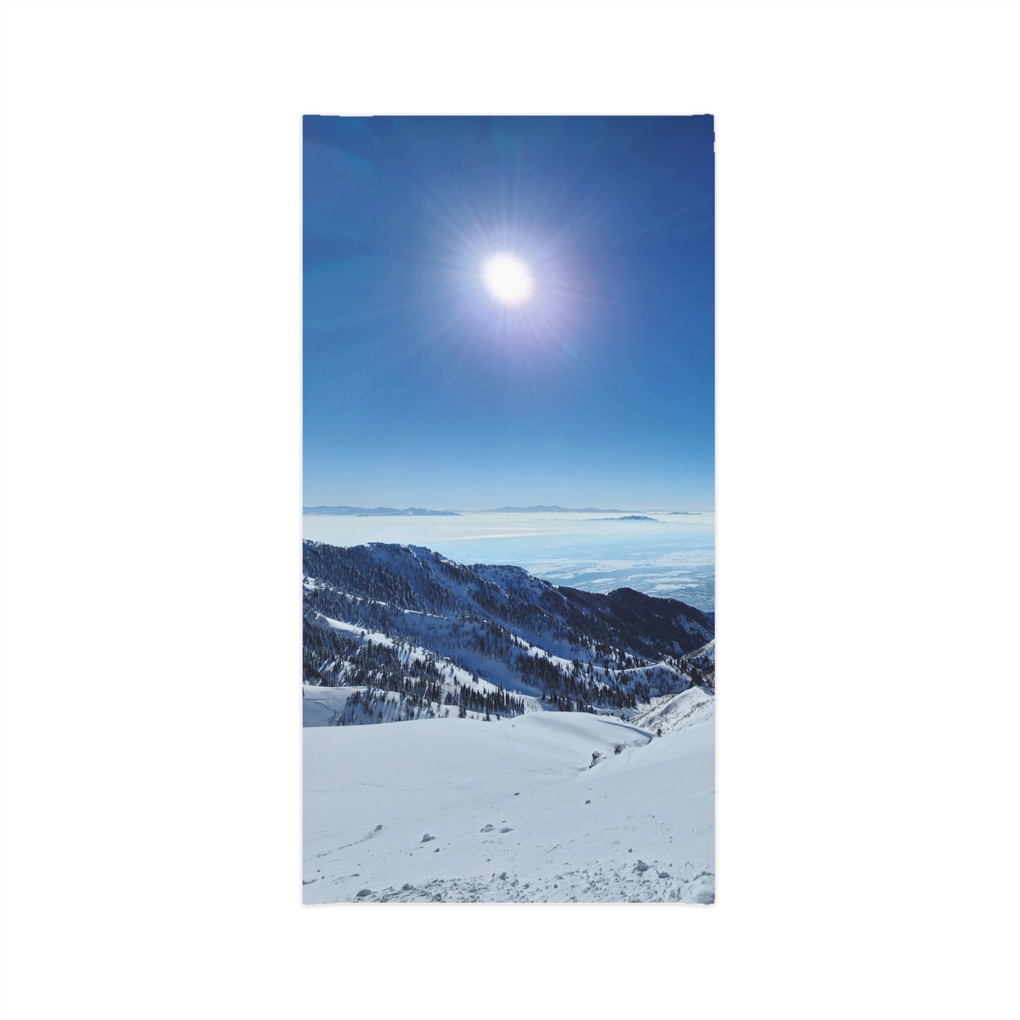 Top of Strawberry~Neck Gaiter