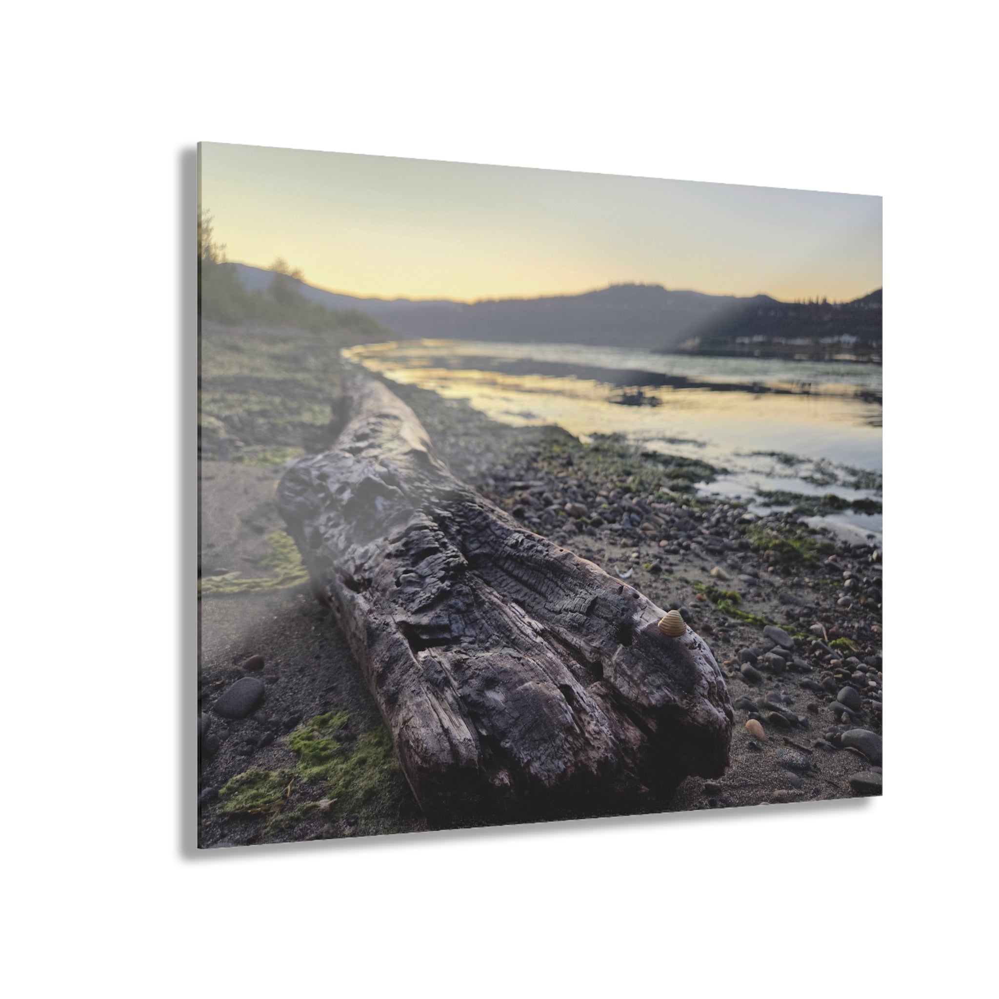 Life on the Columbia River~ Acrylic print